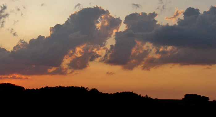 wolkengetier.jpg