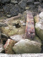 helgoland-06-10-10-152.jpg