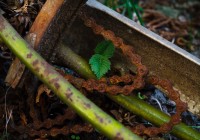 IMG_0356_s.jpg