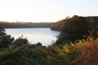 Img_2244.jpg