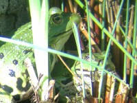 IMG_0115.jpg