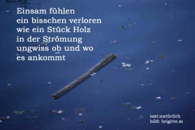 18_holz_1.jpg