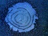 foto blau, pfütze.jpg