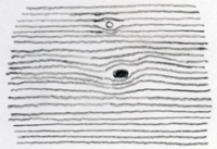 Scan20002-2.png