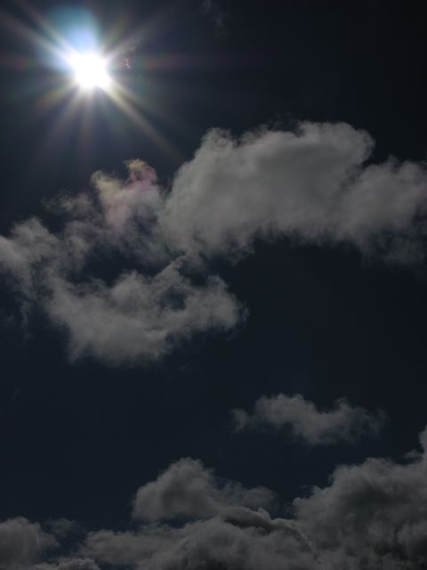 DSCN9058.jpg