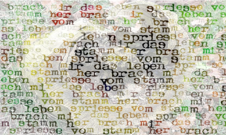 9_13_wurzel1.jpg